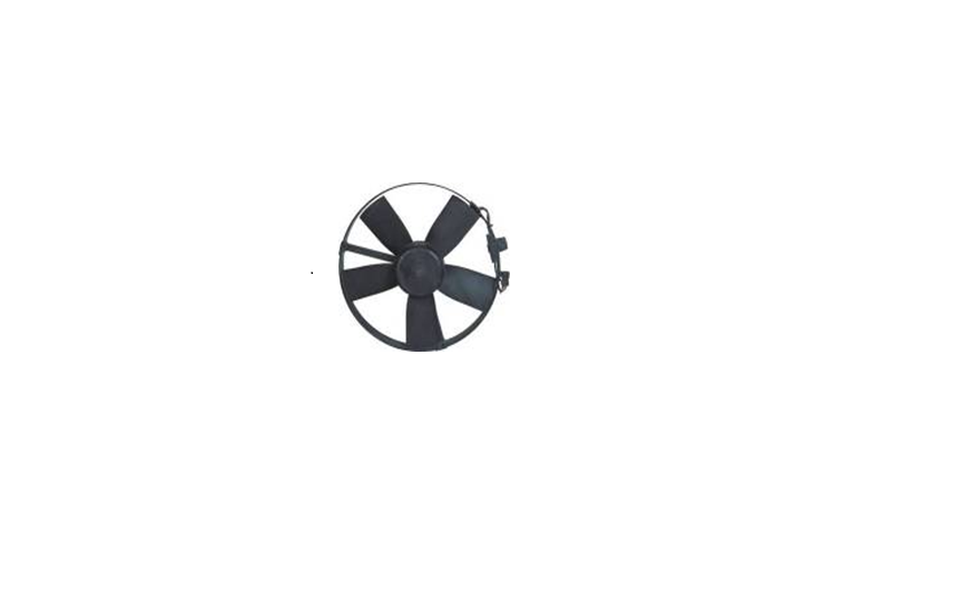 Radiator Fan