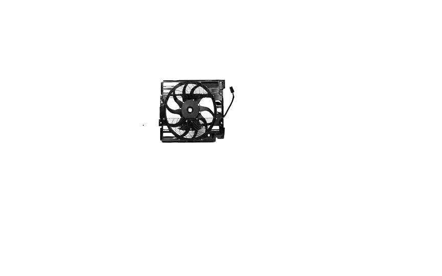 Radiator Fan