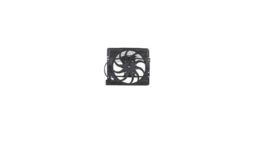 Radiator Fan