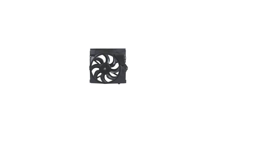 Radiator Fan
