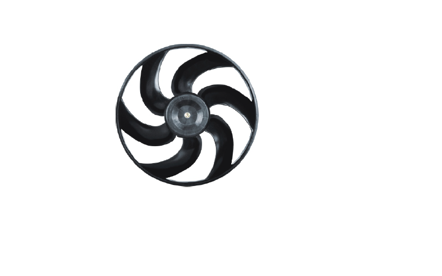 Radiator Fan