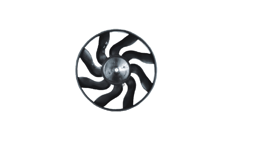 Radiator Fan