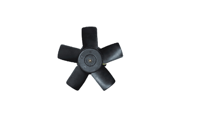 Radiator Fan