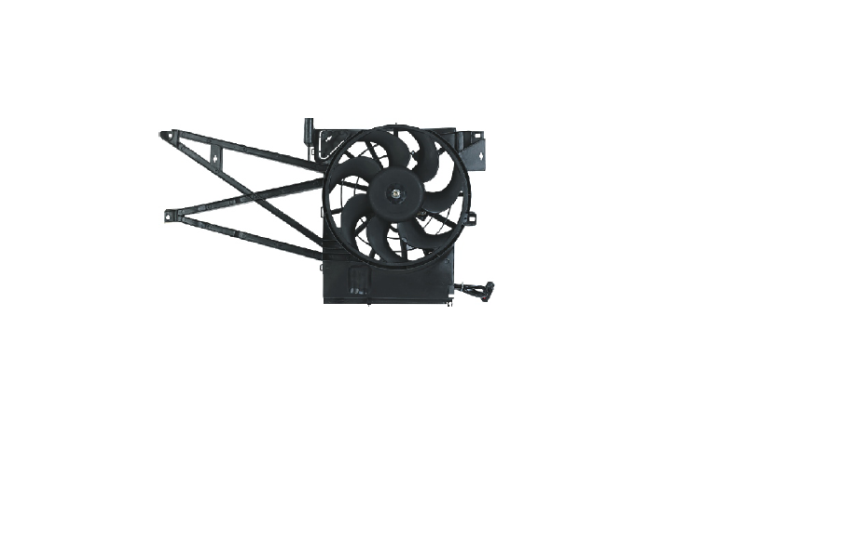 Radiator Fan